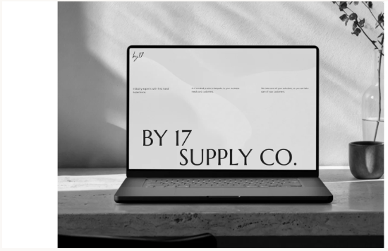 By 17 Supply Co. presented on a laptop